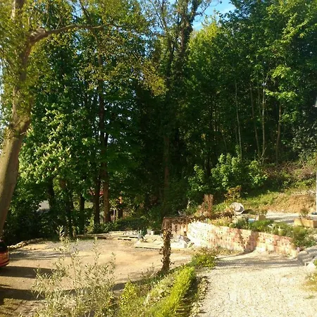 Rosalina - Honfleur *