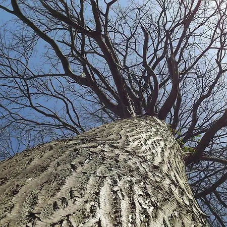 Rosalina - Honfleur Casa vacanze *