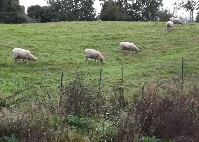 Rosalina - Honfleur *