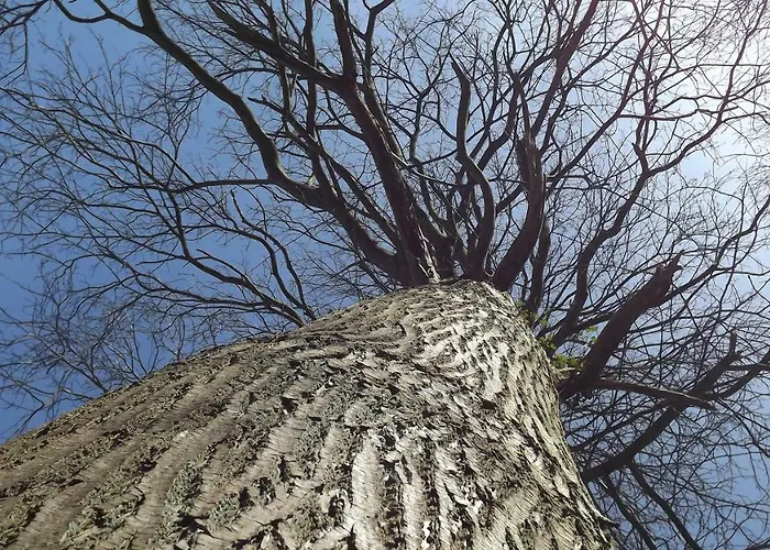 Rosalina - Honfleur Semesterbostad *